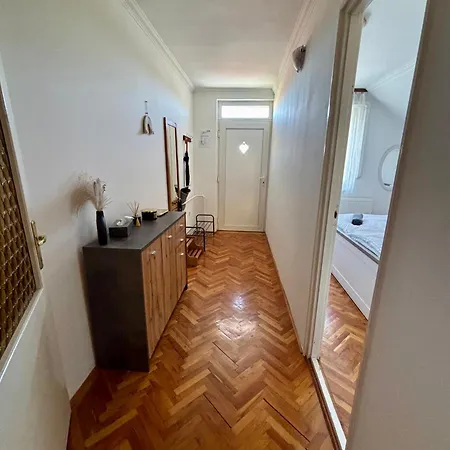 Purrfect 2 Hajdúszoboszló